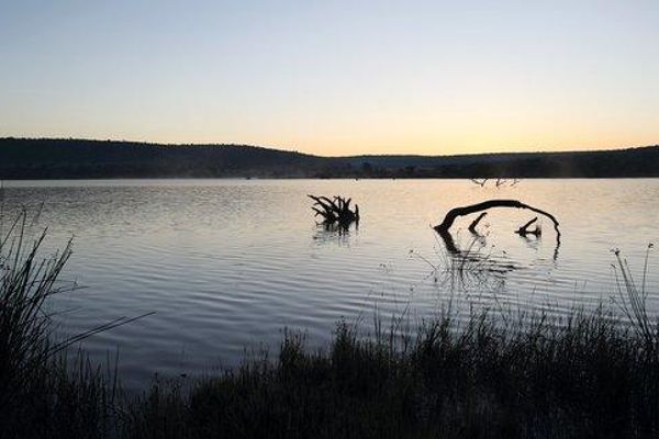 Hotel Shambala Private Game Reserve (Vaalwater)